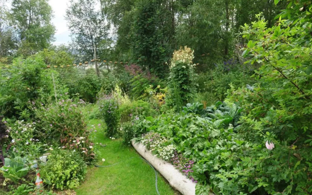 Brigitte's Bavarian Bed und Breakfast
