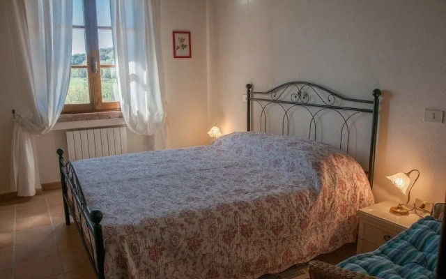 Fattoria Di Paltratico