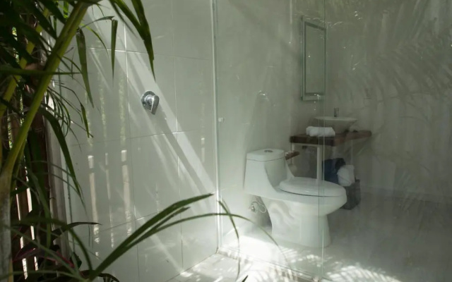 Zensus Eco Boutique Hotel