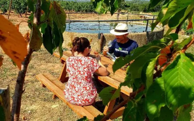 Domaine De La Navicelle - Syrah