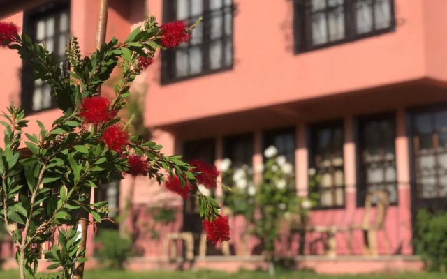Hotel Palme Dalyan