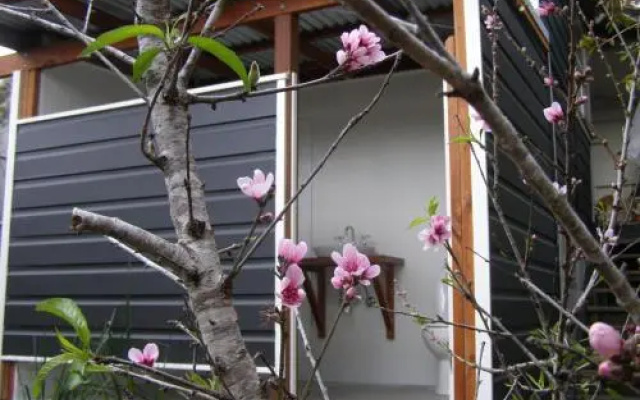 The Tree House, 6 Gowing Street