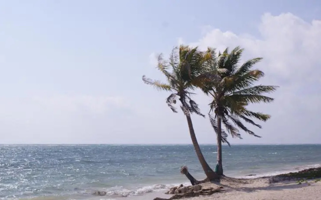Lunazul