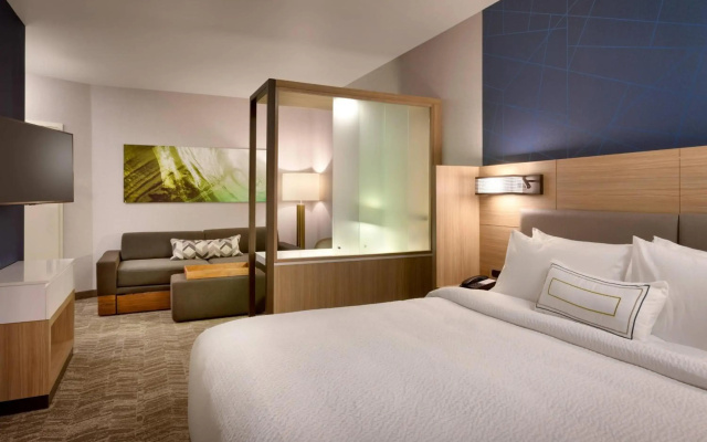 SpringHill Suites by Marriott Idaho Falls