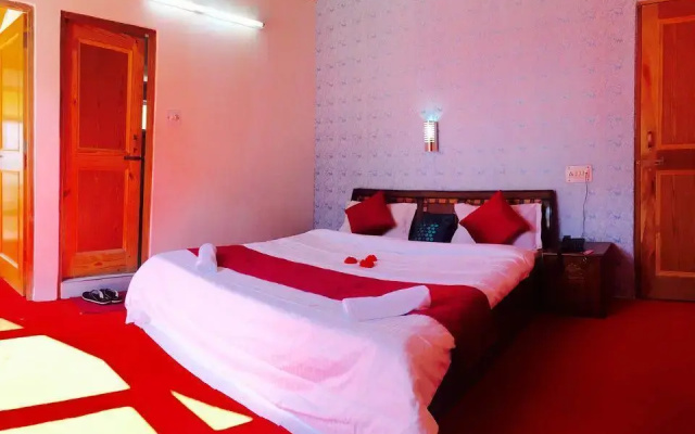 Hotel Alpine Manali