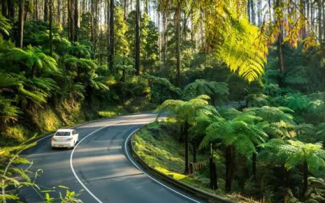 Lithgow Falls Marysville