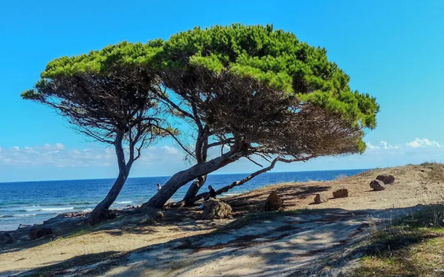 Porto Apartments - La Caletta