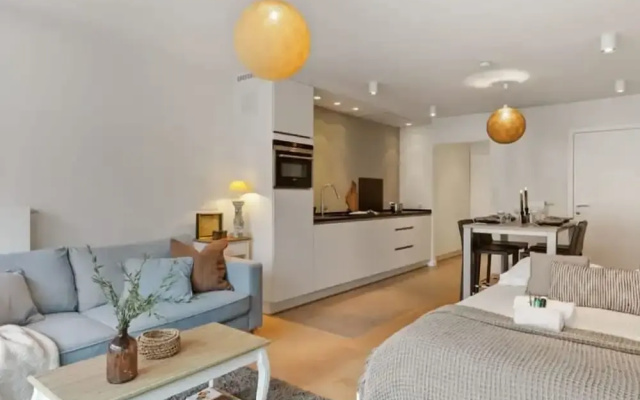Enjoyable Studio in the Center of Knokke