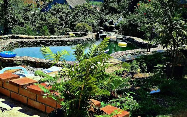 Vip Land