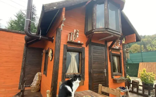 The Hobbit House