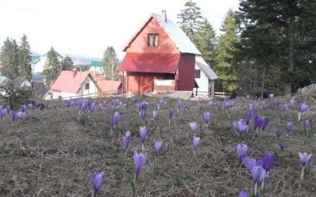 Šepić Accommodation in Zabljak, Montenegro from 74$, photos, reviews - zenhotels.com