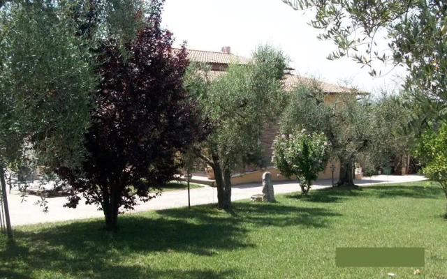 Il Giardino degli Ulivi