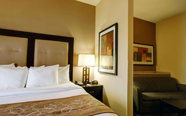 Comfort Suites Buda - Austin South