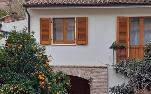 L'arancio Antico