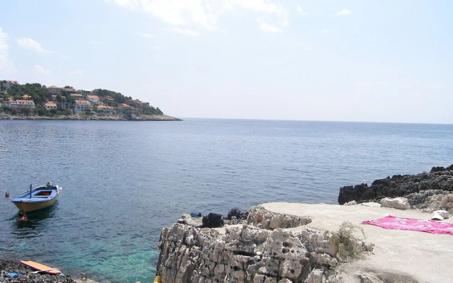 Snje ana ara in ara