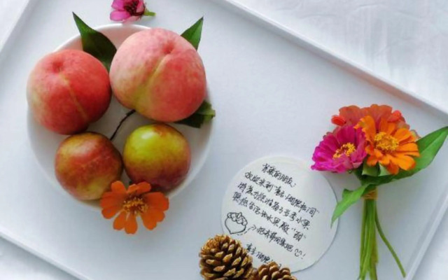 Zixing Xiyan · Hidden Lake and Pines Homestay (Dongjiang Lake Bailang Scenic Area)