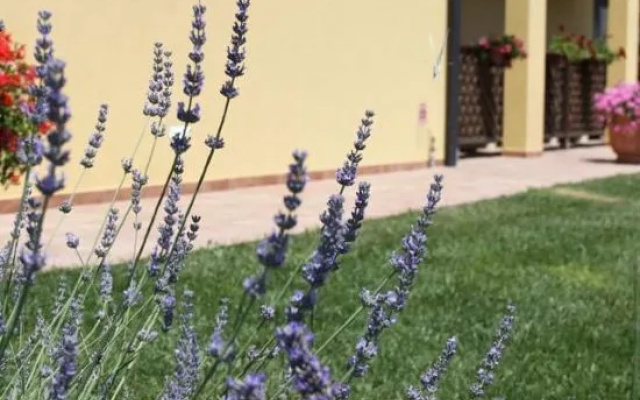 Podere Tre Cipressi