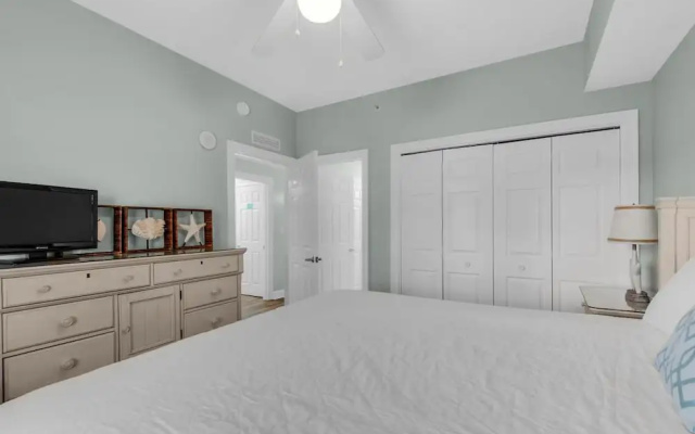 Calypso 1-608 East