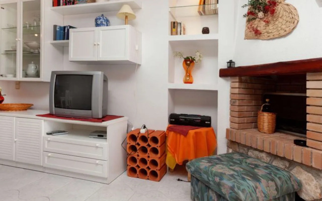 Las Palmeras 25289