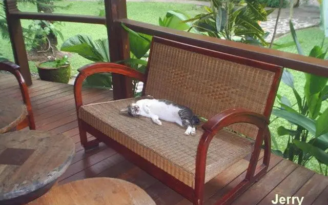 The Country House