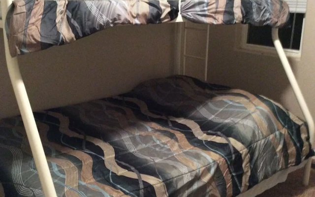 nelson airbnb
