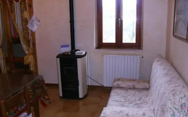 Il Vecchio Cipresso
