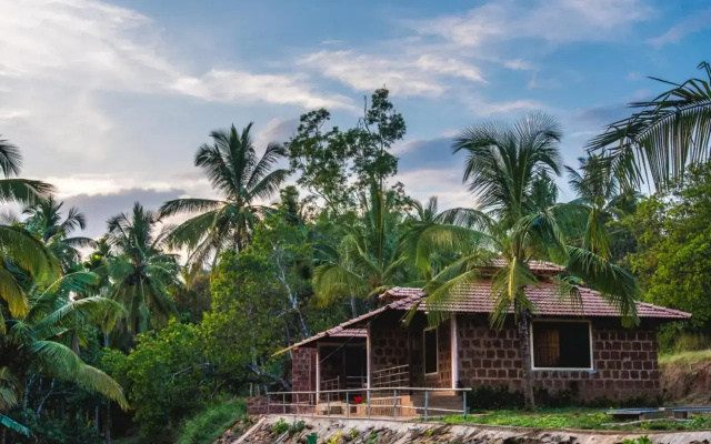 Dandeli Jungle Villa