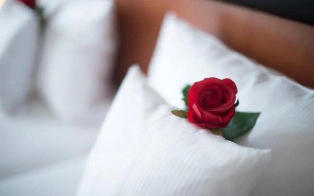 vevio Hotel & Events
