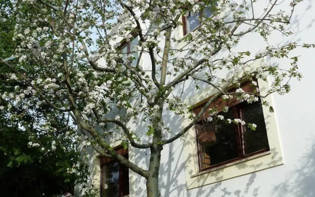 Apartment Mrkić