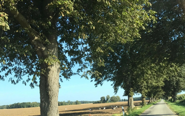 Luxuriose Ferienwohnung in Boddin mit Garten