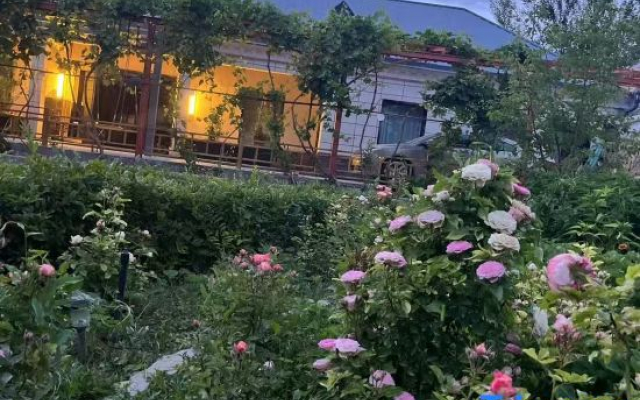 Flower field Homestay