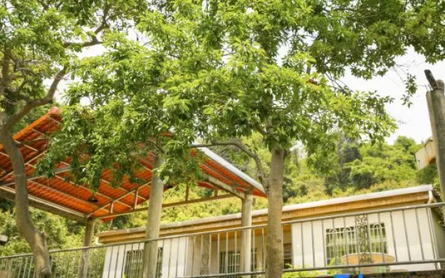 Modong Orchard Farmstay Boluo Luofu Moutain