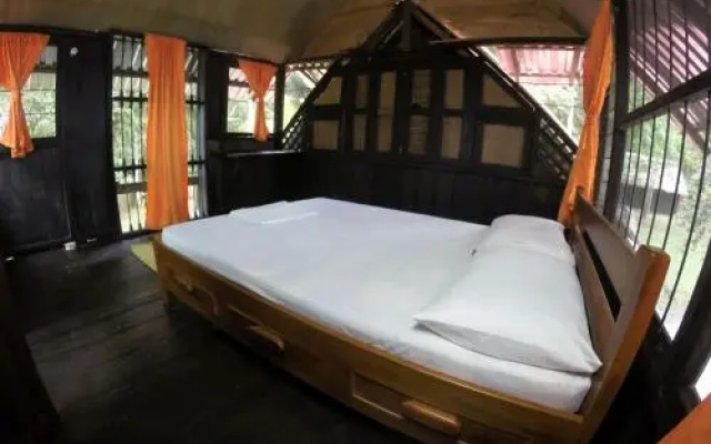 Amazon Experience Hostel