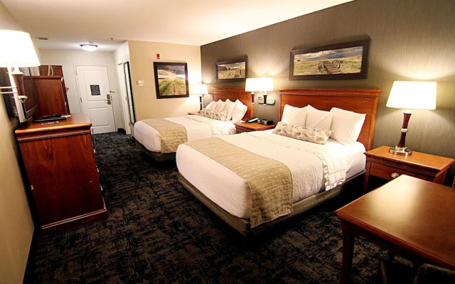 C'mon Inn Hotel & Suites