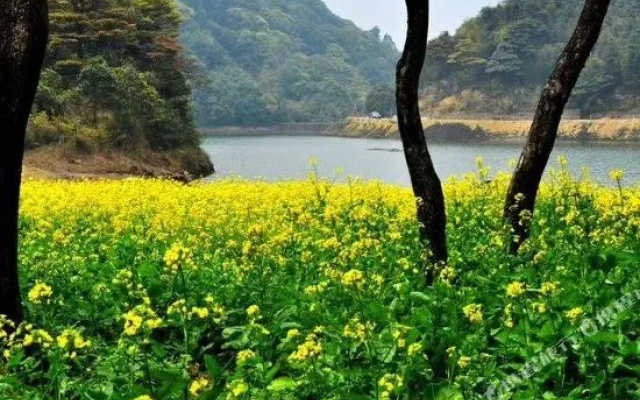 Huangshan Bed and Breakfast