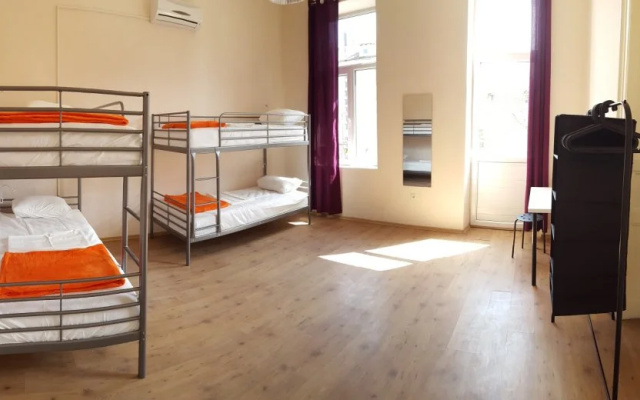 Avocado Hostel