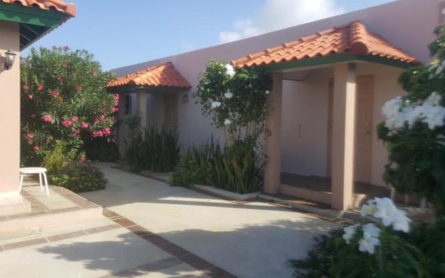 Norrol Apartments in Palm Beach, Aruba from 195$, photos, reviews - zenhotels.com