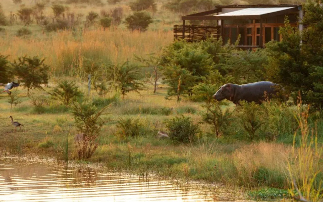 Cheetah Ridge Lodge