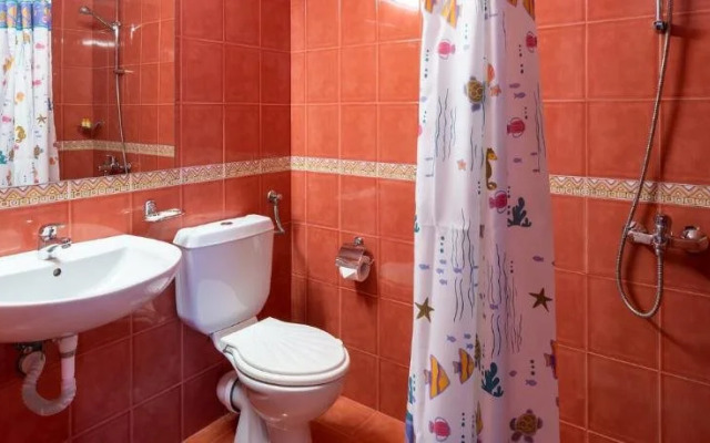 Belitsa Hotel