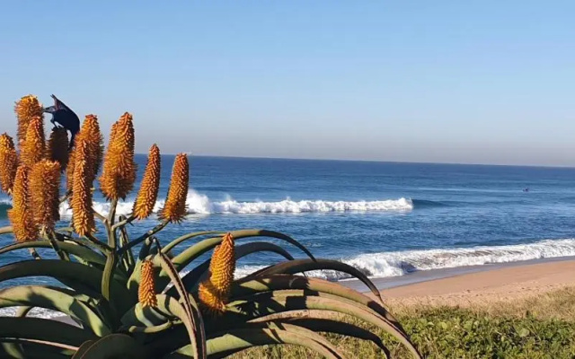 6 Umdloti Cabanas Umdloti Beach