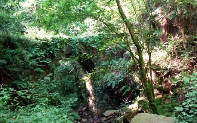 La Casina di Piero