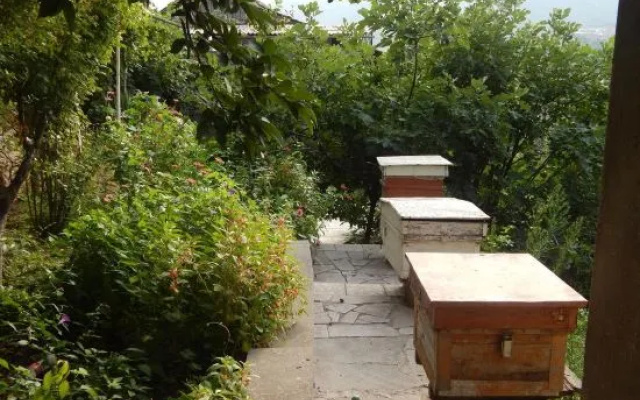 Guest House Anakhit
