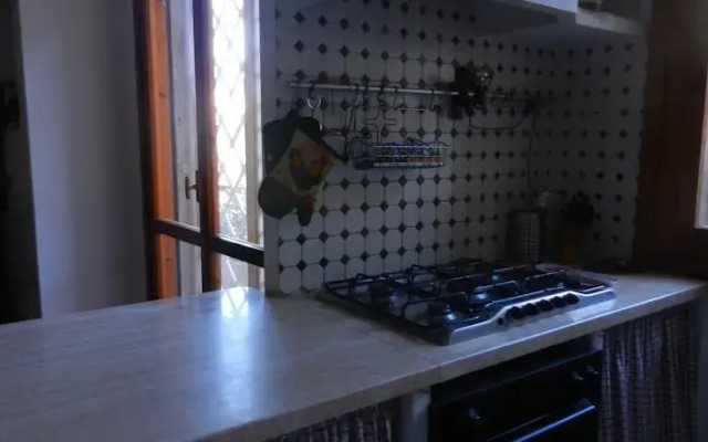 Lucys Holiday House