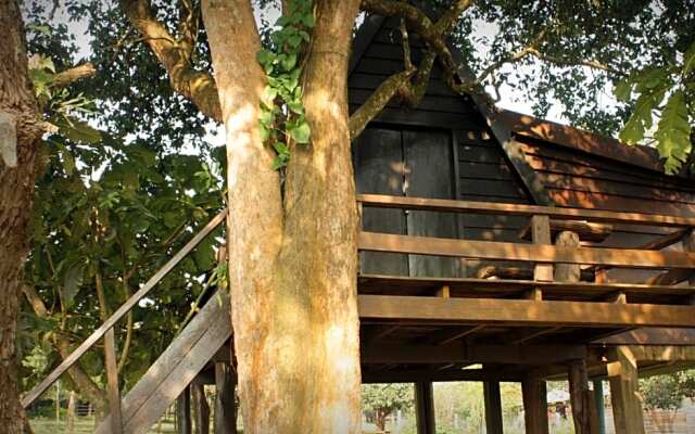Отель Nature Lodge вид на фасад