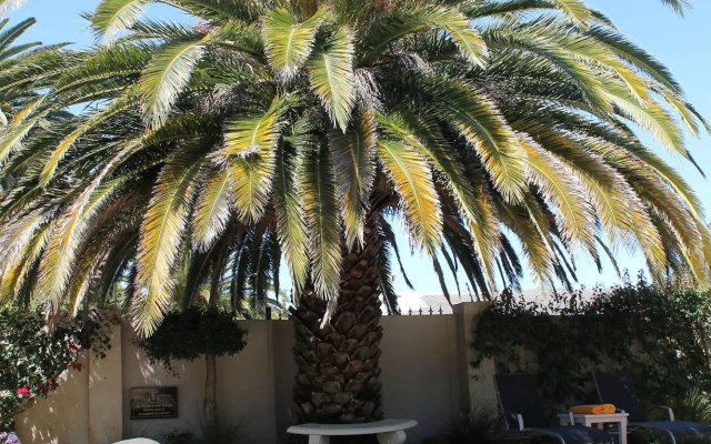 Guest house Stellendal