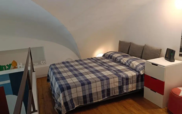 Zziny House