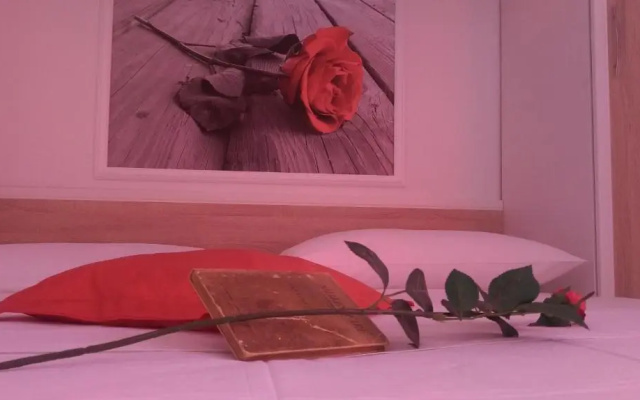 Apartman Restović