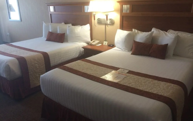 Midnight Rose & McGills Hotel & Casino