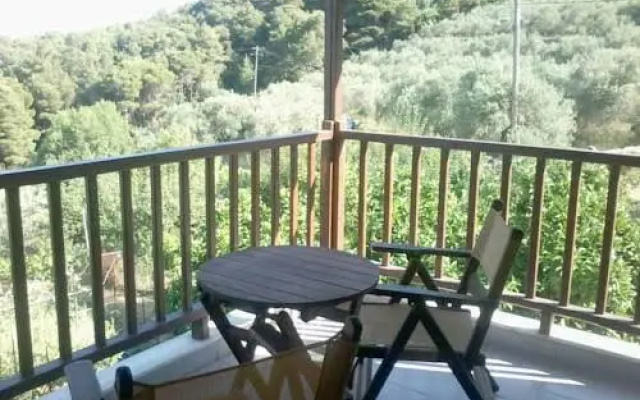 Diomas Studios