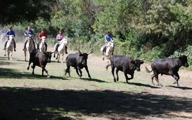 La Nanou'che (roulotte en Camargue)